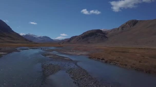 Aerial - Flight over a mountain autumn river. The water is turquoise and the larch is yellow. Flight in a beautiful mountain valley. — Stock Video