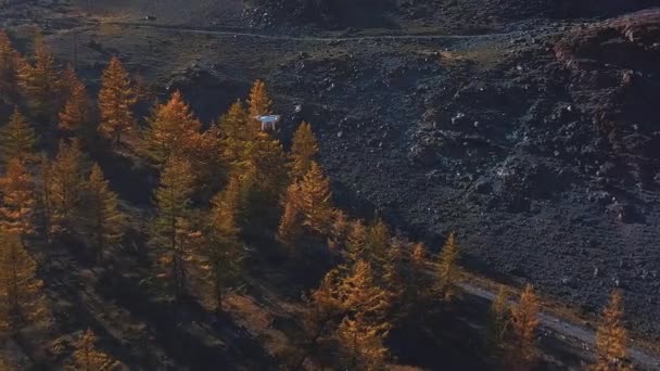 Drohnenflug in der Schlucht, in einer Luftaufnahme. Ein weißer großer Quadrocopter oder eine Drohne fliegt zwischen den Gipfeln der Berge hin und her. Flug mit einer Drehung. entfernt die Beschaffenheit der Videokamera — Stockvideo