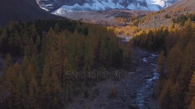 Yosunlu kayalar üzerinde çalışan orman akarsu. Turkuaz dağ nehir taşları ve tepeler arasında. Sonbahar sarı larch büyür.