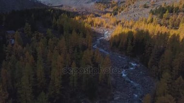 Yosunlu kayalar üzerinde çalışan orman akarsu. Turkuaz dağ nehir taşları ve tepeler arasında. Sonbahar sarı larch büyür.