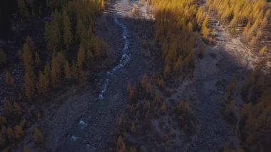 Yosunlu kayalar üzerinde çalışan orman akarsu. Turkuaz dağ nehir taşları ve tepeler arasında. Sonbahar sarı larch büyür.