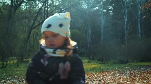Kid throws yellow leaves in autumn park. — Stock Video