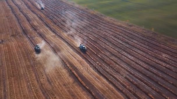 Luchtfoto drone shot van een combine harvester werken in een veld bij zonsondergang. Schot in 4k. zaaien aan het einde van het seizoen. Plant nieuwe korrels voor volgend jaar. — Stockvideo