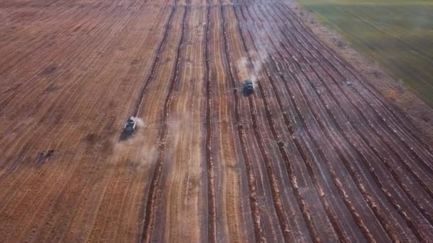Luchtfoto drone shot van een combine harvester werken in een veld bij zonsondergang. Schot in 4k. zaaien aan het einde van het seizoen. Plant nieuwe korrels voor volgend jaar. — Stockvideo