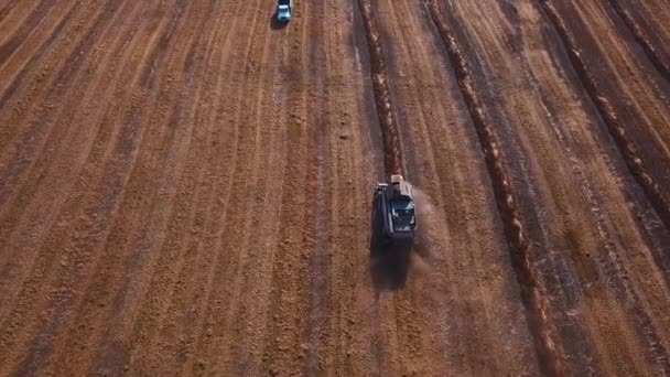 Luchtfoto drone shot van een combine harvester werken in een veld bij zonsondergang. Schot in 4k. zaaien aan het einde van het seizoen. Plant nieuwe korrels voor volgend jaar. — Stockvideo