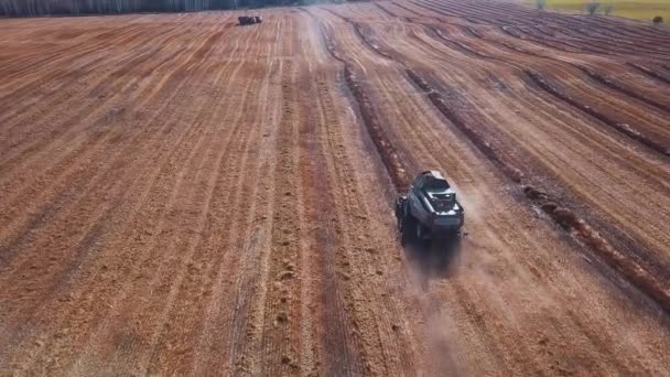 Aereo drone colpo di una mietitrice che lavora in un campo al tramonto. Girato in 4K. semina a fine stagione. Pianta nuovi cereali per il prossimo anno . — Video Stock