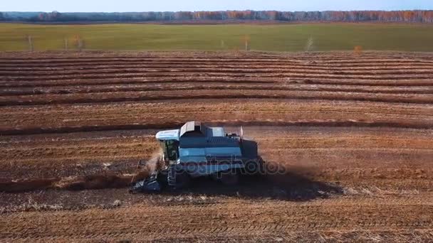 近代的なトラクターで耕播種のための土地の準備、乾燥したフィールドの空中映像。シーズンの終わりに播種。来年の新しい穀物を植える. — ストック動画