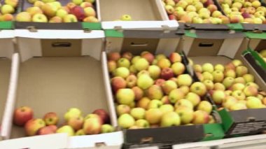 Seçme ve elma vasıl belgili tanımlık stok satın alma. elma bir sürü yalan üstünde belgili tanımlık sayaç bir karton kutu içinde bir yığın.