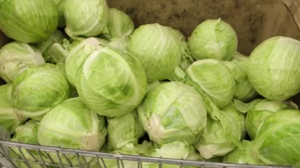 Un tiro medio pasando las verduras frescas en un supermercado. repollo se encuentra en un montón en una caja de cartón — Vídeo de stock