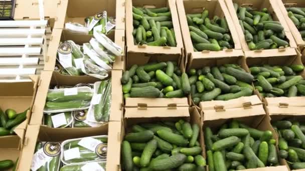 市场货架上的黄瓜。许多黄瓜躺在柜台上的一个纸板箱堆里。. — 图库视频影像