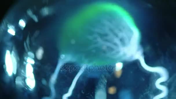 Rayo eléctrico abstracto verde en un frasco de vidrio. Como una bola de plasma. El hombre toca sus dedos de relámpago. Transmisión de energía eléctrica a través del aire, transmisión inalámbrica de electricidad — Vídeo de stock