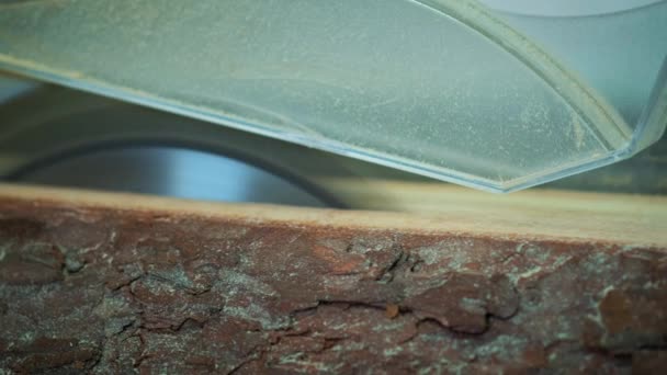 Coupe du bois dans une usine de bois. Fermer les pinces de sciage du bois. Une scierie est une installation où les grumes sont coupées en bois . — Video