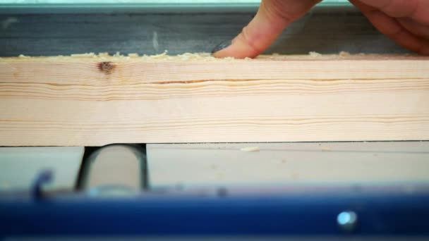 Carpenter engaged in woodworking. The joiner works with the tree — Stock Video