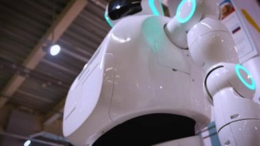 Modern robotik teknolojiler. Bir adam bir robot ile iletişim kurar plastik mekanik bir kol için robot, basar el sıkışma.