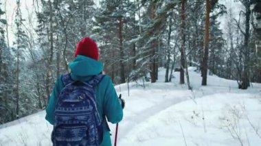 Genç güzel kış ormandaki bir sırt çantası ile hiking kadın izleyin. Nordic walking için sopa kullanır.
