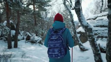 Genç güzel kış ormandaki bir sırt çantası ile hiking kadın izleyin. Nordic walking için sopa kullanır.
