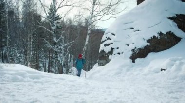 Genç güzel kış ormandaki bir sırt çantası ile hiking kadın izleyin. Nordic walking için sopa kullanır.