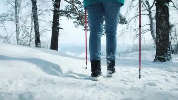 SEGUIR Senderismo femenino joven con una mochila en un hermoso bosque de invierno. utiliza palos para caminar nórdico . — Vídeos de Stock