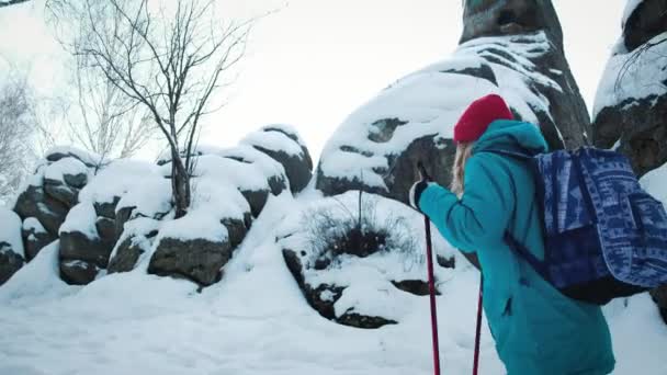 SUIVRE Jeune randonnée féminine avec un sac à dos dans une belle forêt d'hiver. utilise des bâtons pour la marche nordique . — Video