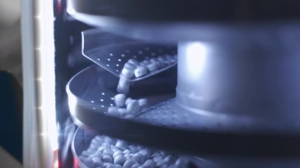 Process of production of pills, tablets. Industrial pharmaceutical concept. Factory equipment and machine. Many pills move on the machine. Medical capsules are sorted by a conveyor belt — Stock Video