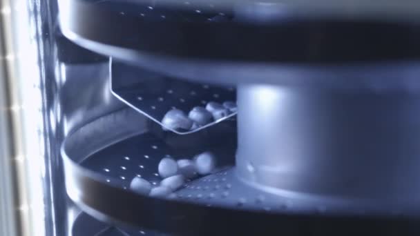 Processo di produzione di pillole, compresse. Concetto farmaceutico industriale. Attrezzatura e macchina di fabbrica. Molte pillole si muovono sulla macchina. Le capsule mediche sono ordinate in base a un nastro trasportatore — Video Stock