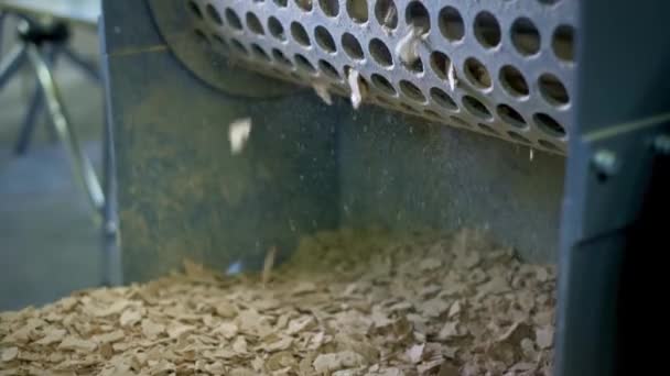 Máquina de carpintería. Schroeder muele tablas de madera. Industria maderera. Patatas fritas y serrín. Destrucción de troncos . — Vídeo de stock