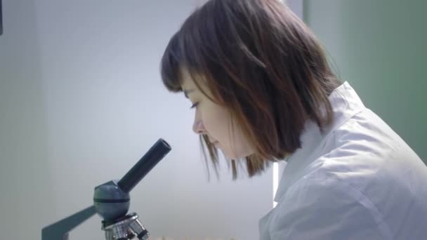 Ung flicka forskare tittar igenom ett mikroskop. Hon studerar proverna. En ung forskare bedriver vetenskaplig forskning. Hon forskar om ett virus och letar efter ett botemedel mot ett epidemiskt vaccin. — Stockvideo