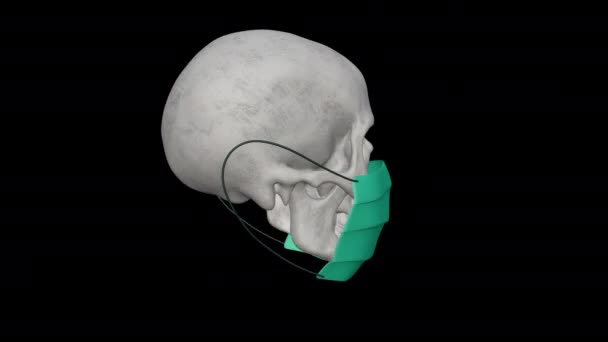 头戴口罩的骷髅摘要动画片在珊瑚概念中的应用.数字像素艺术的后进主义。大流行病和病毒感染的主题。VJ循环在流行病和检疫概念中的应用 — 图库视频影像