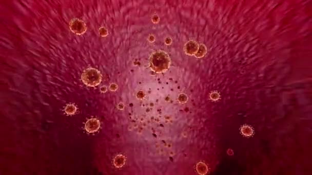 In het bloedvat, witte bloedcellen in het bloedvat, pulserende slagader, rode en witte bloedcellen in de slagader. — Stockvideo