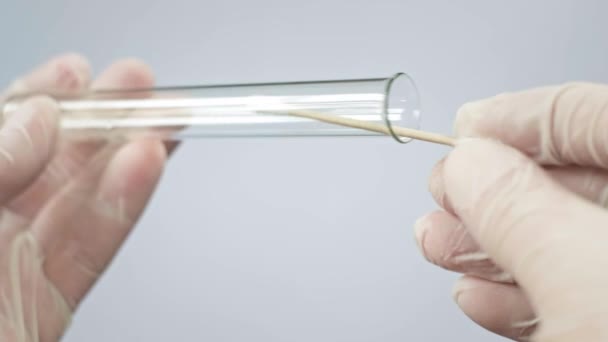 Un virólogo coloca un hisopo de algodón en un tubo de ensayo para examinar una frotis de los pulmones. Un médico toma una muestra de la garganta para una prueba de coronavirus. Estudios de laboratorio de armas bacteriológicas . — Vídeos de Stock