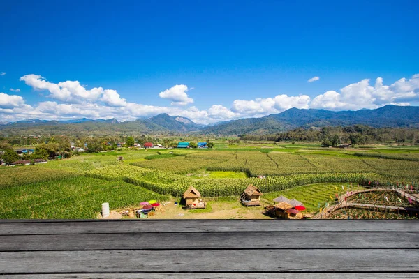 Terrasse Riz Avec Fond Montagne — Photo