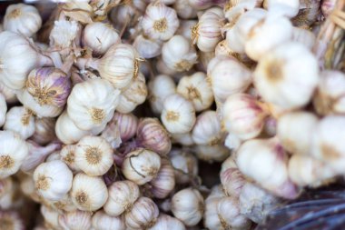 Masada beyaz sarımsaklı karanfil