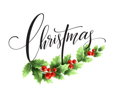 Holly ile neşeli Noel yazı kartı. Vektör çizim