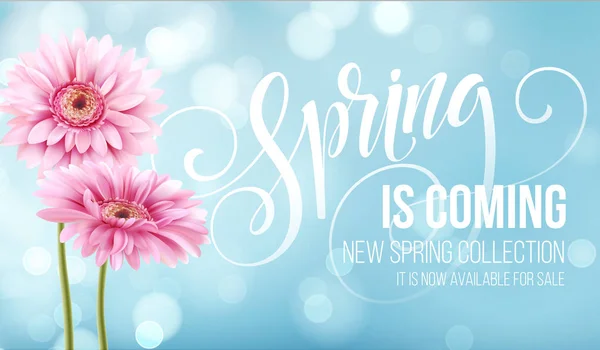 Gerbera Flower Background and Spring is coming Lettering. Vector Illustration — Stock Vector