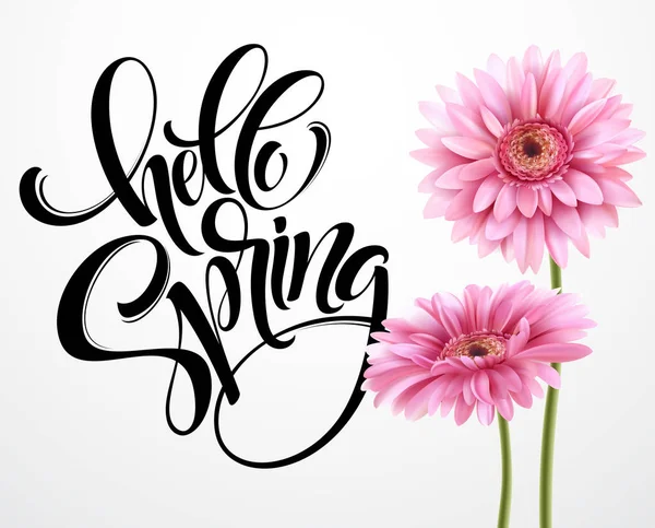 Gerbera Flower Background dan Hello Spring Lettering. Ilustrasi Vektor - Stok Vektor