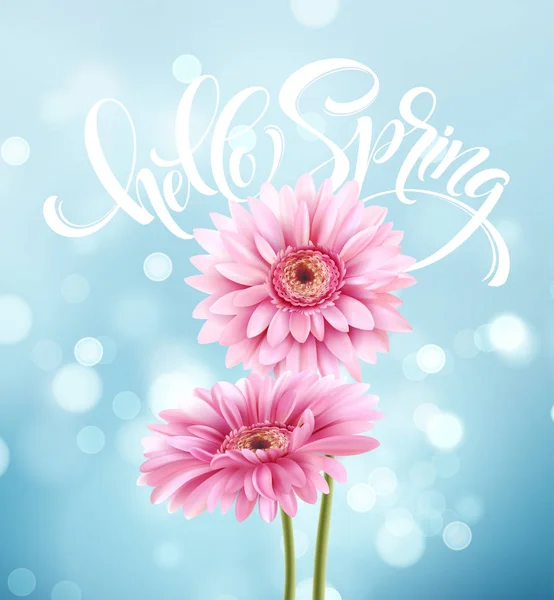 Gerbera Flower Background y Hello Spring Lettering. Ilustración vectorial — Archivo Imágenes Vectoriales