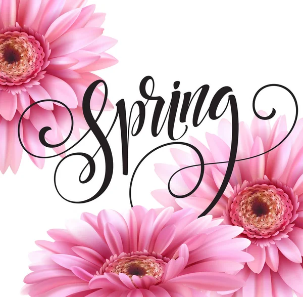 Gerbera flor fundo e letras primavera. Ilustração vetorial — Vetor de Stock