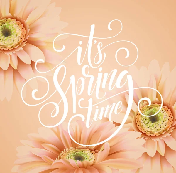 Gerbera virágot háttér és a betűk tavasz. Vektoros illusztráció — Stock Vector