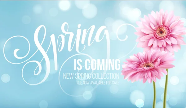 Gerbera Flower Background e Spring Lettering. Illustrazione vettoriale — Vettoriale Stock