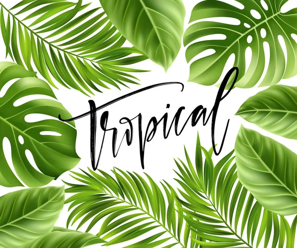 夏季海报与热带棕榈叶和手写字体。矢量图 — 图库矢量图片