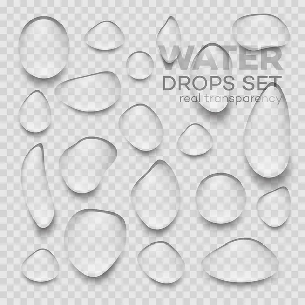Realistic transparent Water drops. Vector illustration — Stock Vector