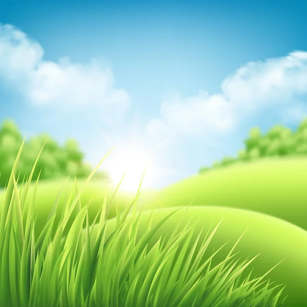 Été nature lever de soleil fond, un paysage avec des collines verdoyantes et des prairies, ciel bleu et nuages. Illustration vectorielle — Image vectorielle