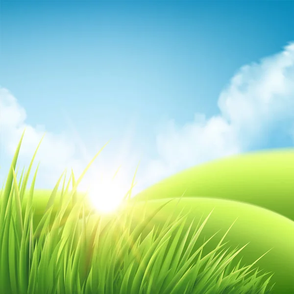 Été nature lever de soleil fond, un paysage avec des collines verdoyantes et des prairies, ciel bleu et nuages. Illustration vectorielle — Image vectorielle