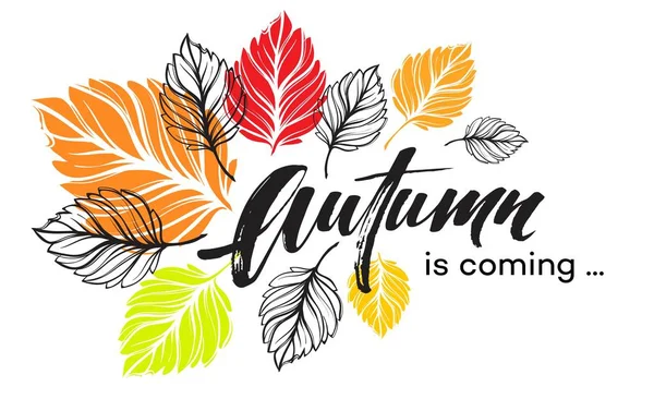 Осенний дизайн фона с красочными осенними листьями. Векторная иллюстрация — стоковый вектор