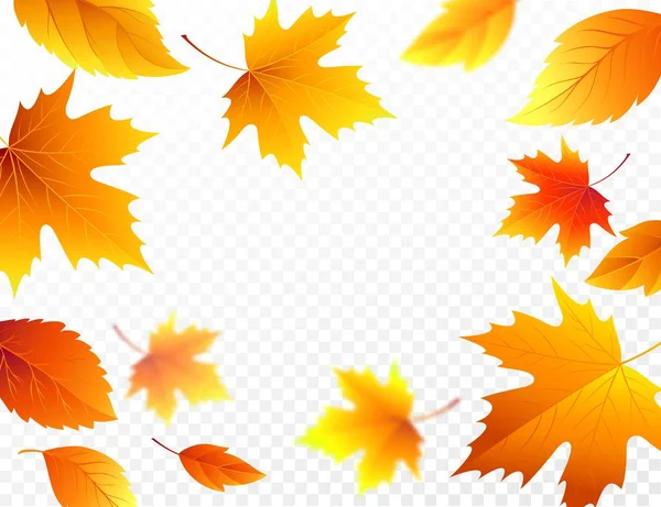 Autumn falling leaves on transparent checkered background. Autumnal foliage fall leaf flying in wind motion blur. Vector illustration — Stock Vector