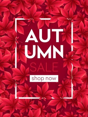 Sonbahar yaprakları ile sonbahar satış arka plan. Vektör çizim