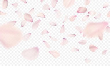 Pembe sakura yaprakları arka plan düşüyor. Vektör çizim