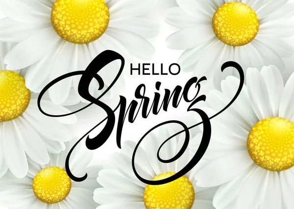 Inscripción caligráfica Hola Primavera con flor primaveral - floreciendo margarita blanca. Ilustración vectorial — Archivo Imágenes Vectoriales