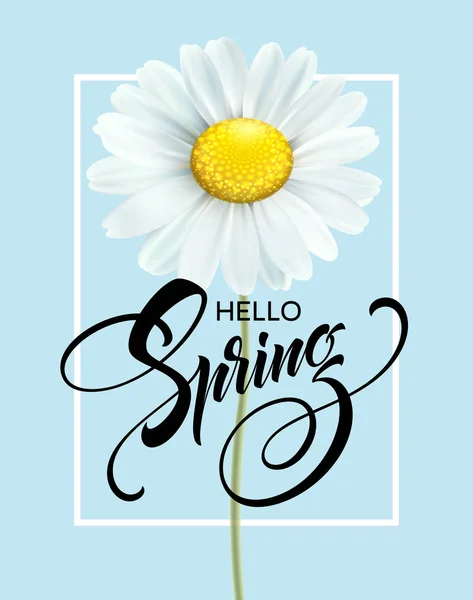 Inscrição caligráfica Olá Primavera com flor de primavera - florescendo margarida branca. Ilustração vetorial —  Vetores de Stock