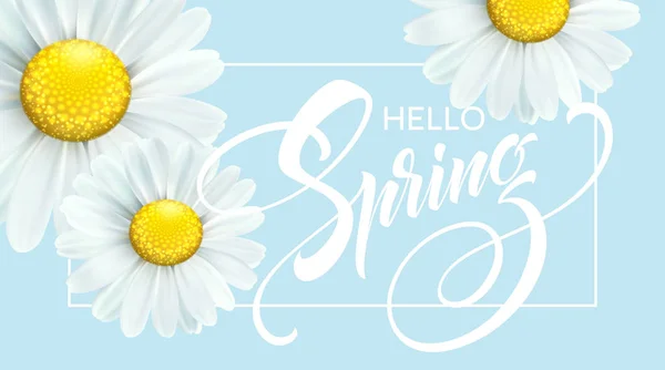 Inscrição caligráfica Olá Primavera com flor de primavera - florescendo margarida branca. Ilustração vetorial —  Vetores de Stock